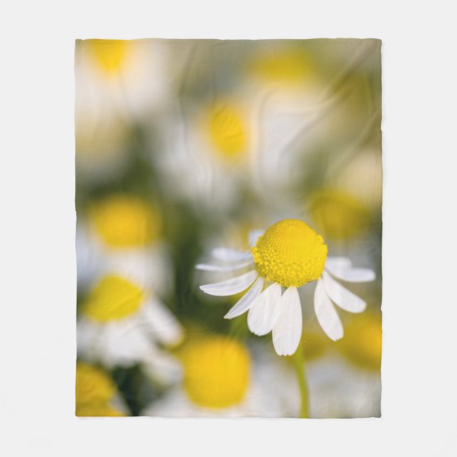 Kamilleblomma närbild, Ungern Fleecefilt (Framsidan)