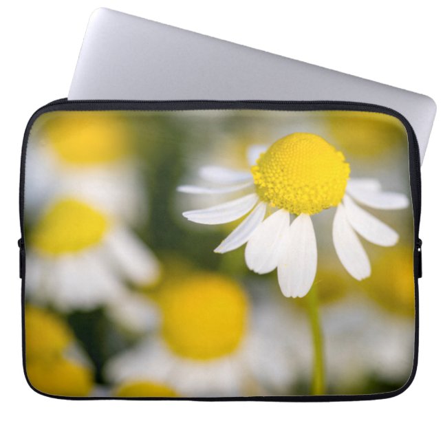 Kamilleblomma närbild, Ungern Laptop Fodral (Framsidan)