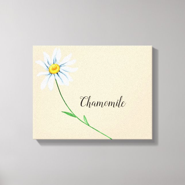 Kamilleblomma Vattenfärg Canvastryck (Framsida)