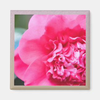 Kamillia Artistic Rosa Flower Magnet
