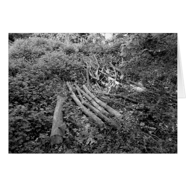 Kammad upp Träd Hälsningskort (Framsidan Horizontal)