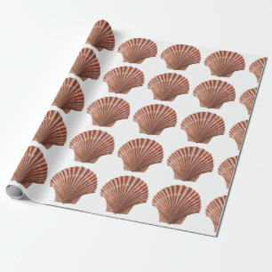 Kammusselskal Presentpapper