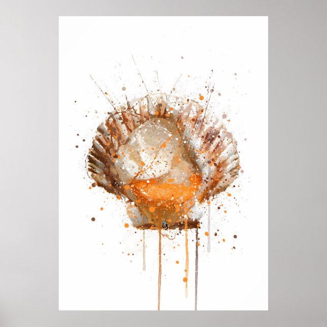 Kammussla Poster (Framsidan)