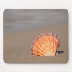 Kammussla Shell Crete, Grekland Musmatta