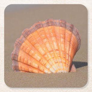 Kammussla Shell Crete, Grekland Underlägg Papper Kvadrat