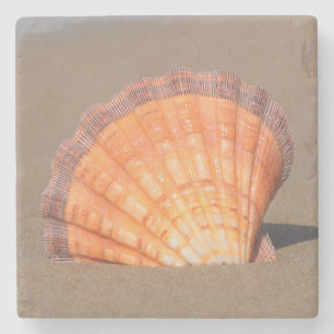 Kammussla Shell Crete, Grekland Underlägg Sten
