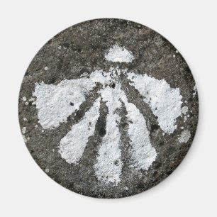 Kammusslasnäckamagnet Magnet