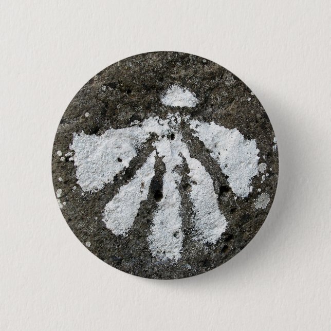 Kammusslasnäckan knäppas knapp (Framsida)