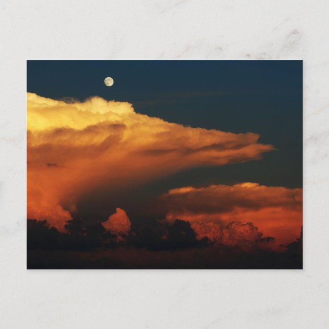 Kammusslor Vykort (Framsida)