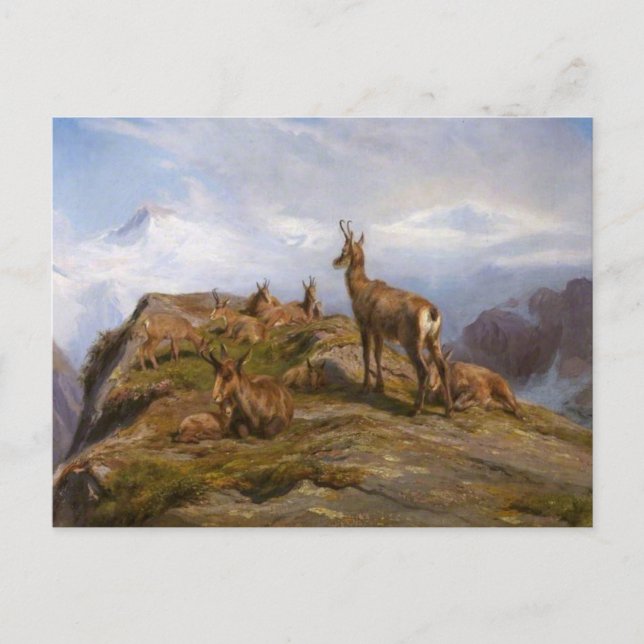 Kamolter av Rosa Bonheur Postkort Vykort (Framsida)