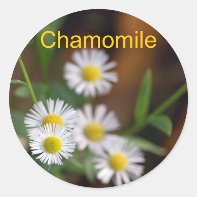 Kamomiletiketter Runt Klistermärke (Framsida)