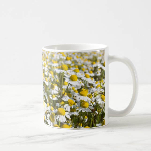 Kamomillfält, Ungern Kaffemugg (Höger)