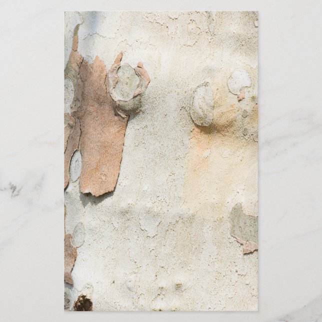 Kamouflage från flygplan träd ser bark mönster flygblad (Framsidan)