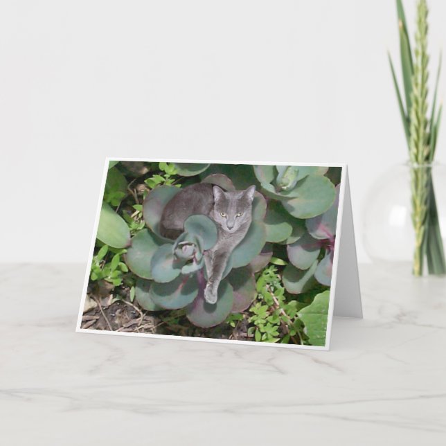 Kamouflage Kort (Framsida)