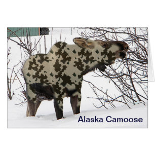 Kamouflage Moose (Camoose) Hälsningskort