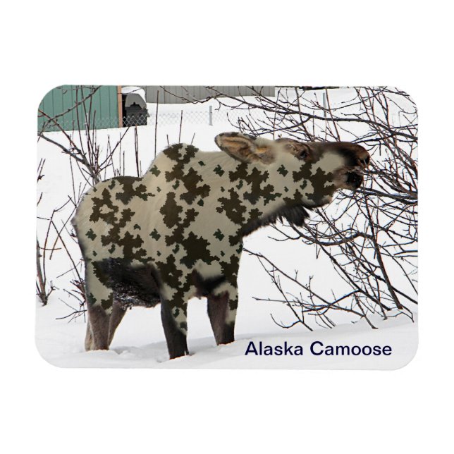 Kamouflage Moose (Camoose) Magnet (Horisontell)