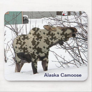 Kamouflage Moose (Camoose) Musmatta