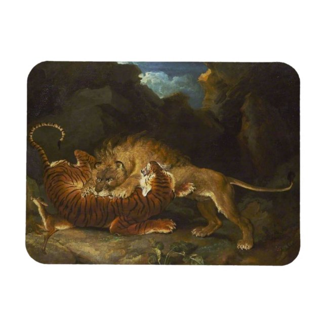 Kamp mellan Lejon och tiger Magnet (Horisontell)