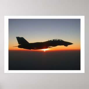 Kämpejet Afghanistan för Tomcat F14 Poster