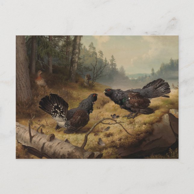 Kampen från Ferdinand von Wright Vykort (Framsida)