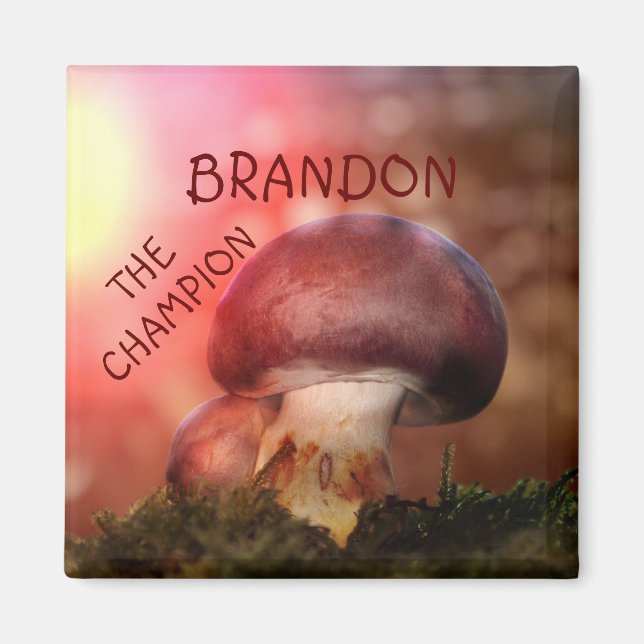 Kampenjon med champinjonen magnet (Framsidan)