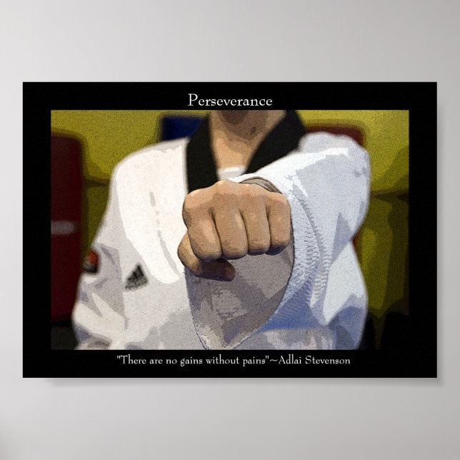 Kampsport Mellanstans Poster (Framsidan)