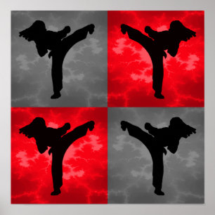 Kampsportar Poster