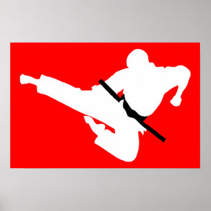 kampsportsilhouettes poster