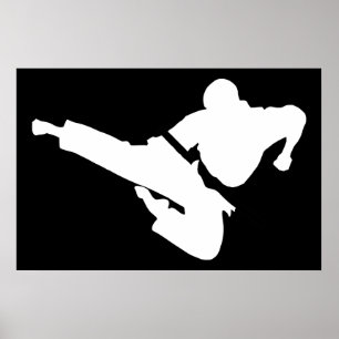 kampsportsilhouettes poster