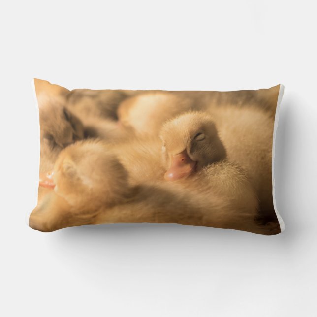 Kamratskap Lumbarkudde (Framsida)