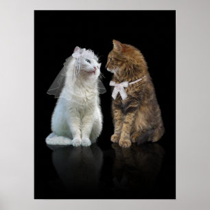 Kan du äta mig? poster