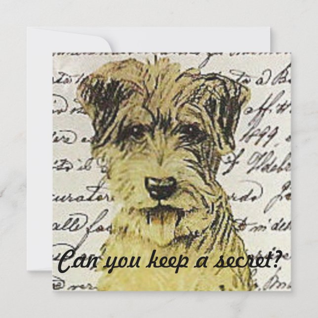 Kan du behålla en hemlighet? inbjudningar (Framsida)