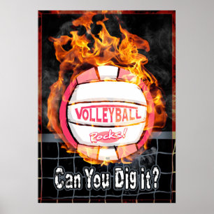 Kan du Gräva det bränna Rosa Volleyball? Poster