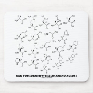 Kan du identifiera de 20 Amino syrorna? (Kemi) Musmatta