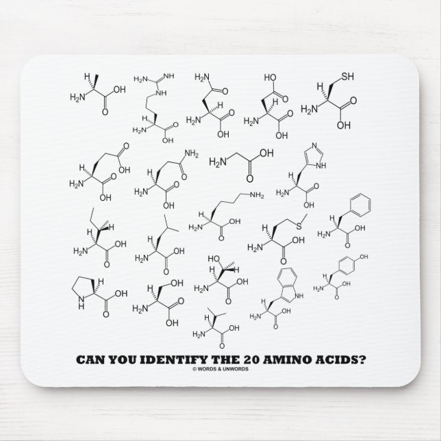Kan du identifiera de 20 Amino syrorna? (Kemi) Musmatta (Framsidan)