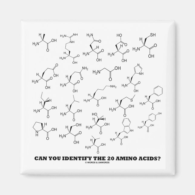 Kan du identifiera de 20 aminosyrorna? (Kemi) Magnet (Framsidan)
