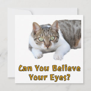Kan du tro på din Öga Cute Cat Art? Kort