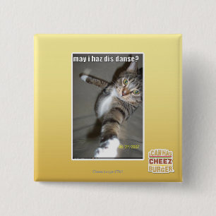 kan I-haz dis dansa? Knapp
