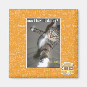 kan I-haz dis dansa? Magnet