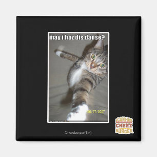 kan I-haz dis dansa? Magnet
