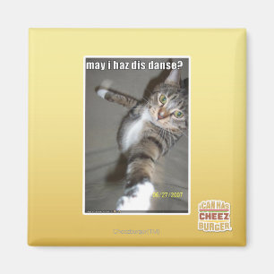 kan I-haz dis dansa? Magnet