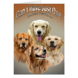 Kan inte ha kort för precis en guld- Retriever