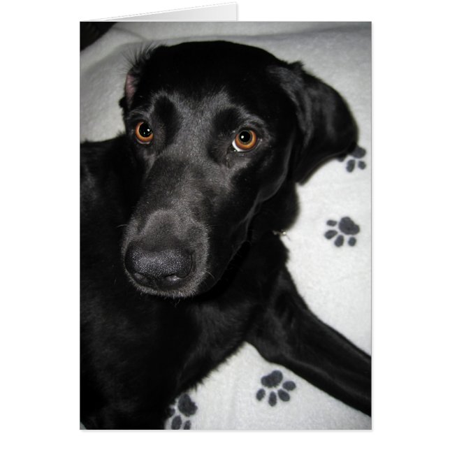 Kan inte hjälpa jag själv hälsningskort (Framsidan)