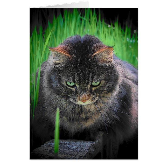 Kan inte titta bort hälsningskort (Framsidan)