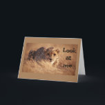 KAN INTE TRO ATT "DU" ÄR "16" KORT<br><div class="desc">VAD FINT FÖDELSEDAGSKORT,  TYCKER DU INTE!!!!! Och kom ihåg att du kan ändra ÅLDERN och VERSET om du vill. TACK för att du besökte 1 av mina 8 butiker!!!</div>