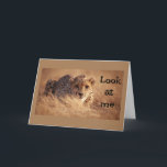 KAN INTE TRO ATT "DU" ÄR "16" KORT<br><div class="desc">VAD FINT FÖDELSEDAGSKORT,  TYCKER DU INTE!!!!! Och kom ihåg att du kan ändra ÅLDERN och VERSET om du vill. TACK för att du besökte 1 av mina 8 butiker!!!</div>