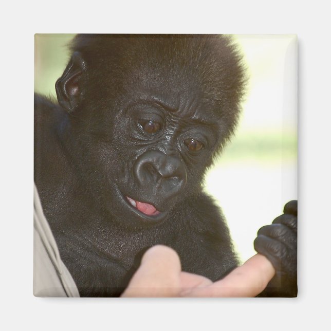 Kan jag hålla din hand? Magnet (Framsidan)