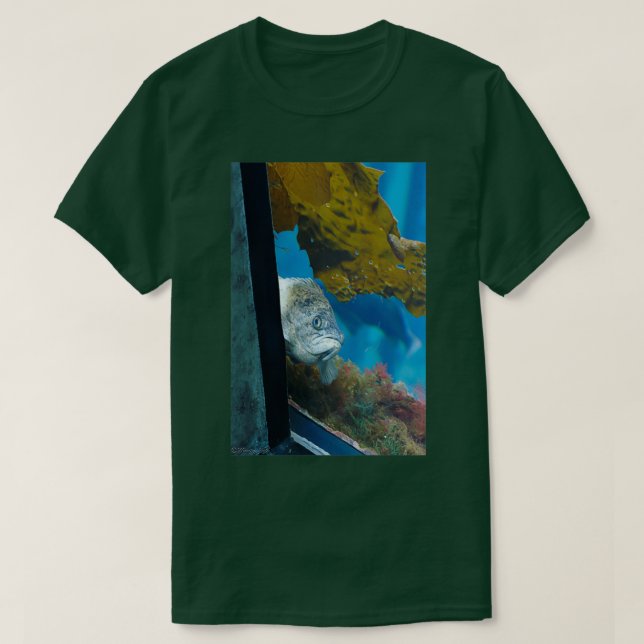 Kan jag hjälpa dig? t shirt (Design framsida)