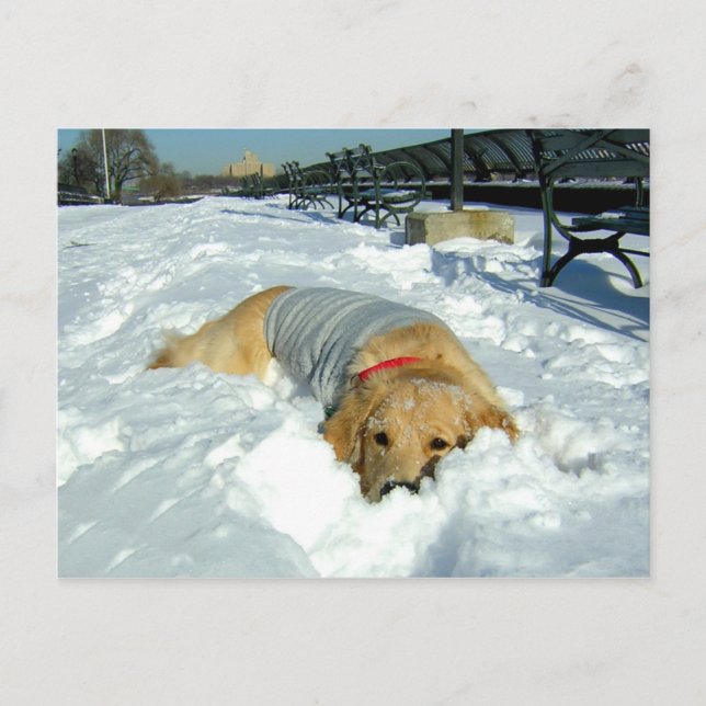 KAN JAG STANNA HÄR? VYKORT (Framsida)