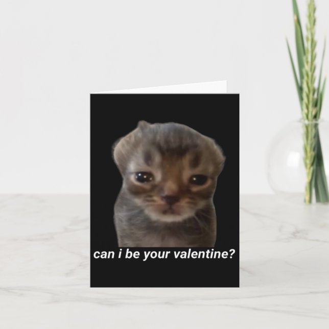 Kan jag vara din valentin rolig katt meme hjärnrot kort (Framsida)
